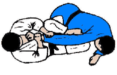 hiza_gatame.gif