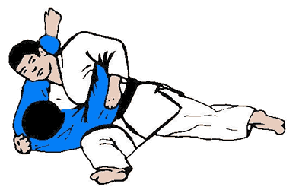 kuzure_kesa_gatame.gif