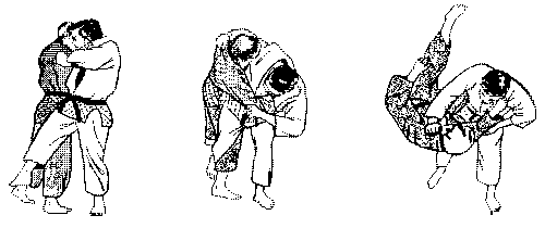 sotogari.gif